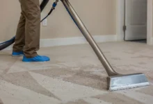 How Expert Carpet Cleaning Elevates Home Comfort