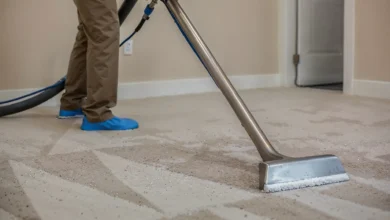 How Expert Carpet Cleaning Elevates Home Comfort