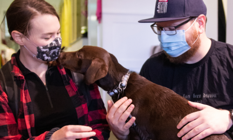 Pet Therapy Access via NDIS in Melbourne Suburbs